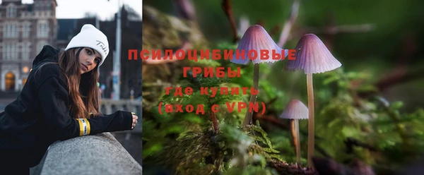 jwh Абаза