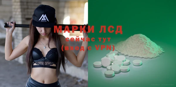 гашик Осташков