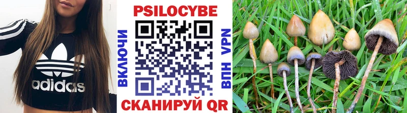 Галлюциногенные грибы MAGIC MUSHROOMS  Саратов 