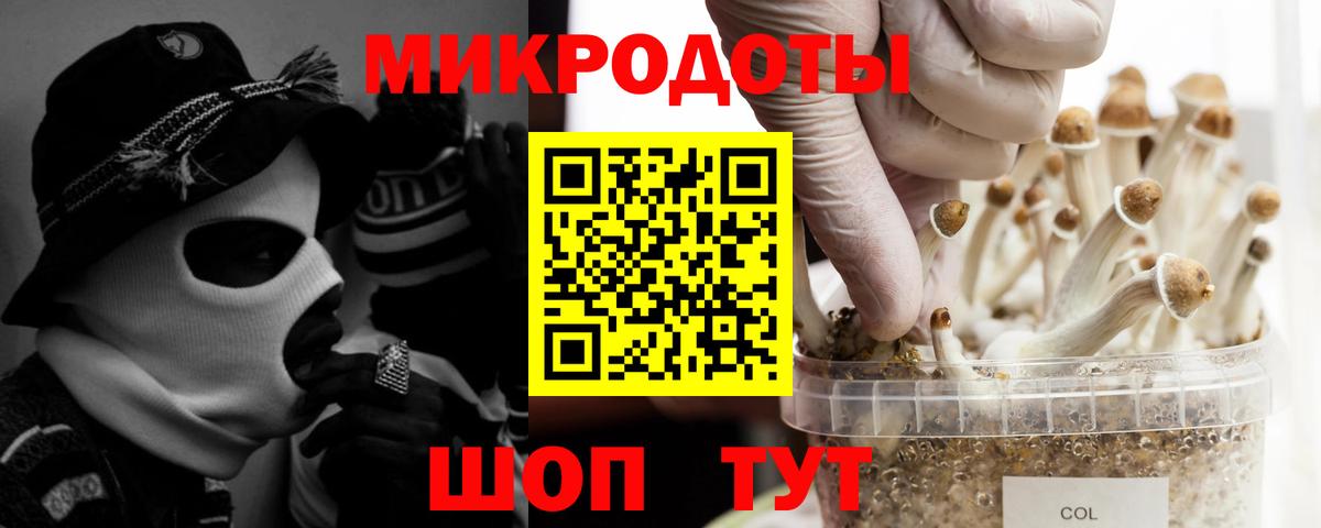 Псилоцибиновые грибы мухоморы Саратов